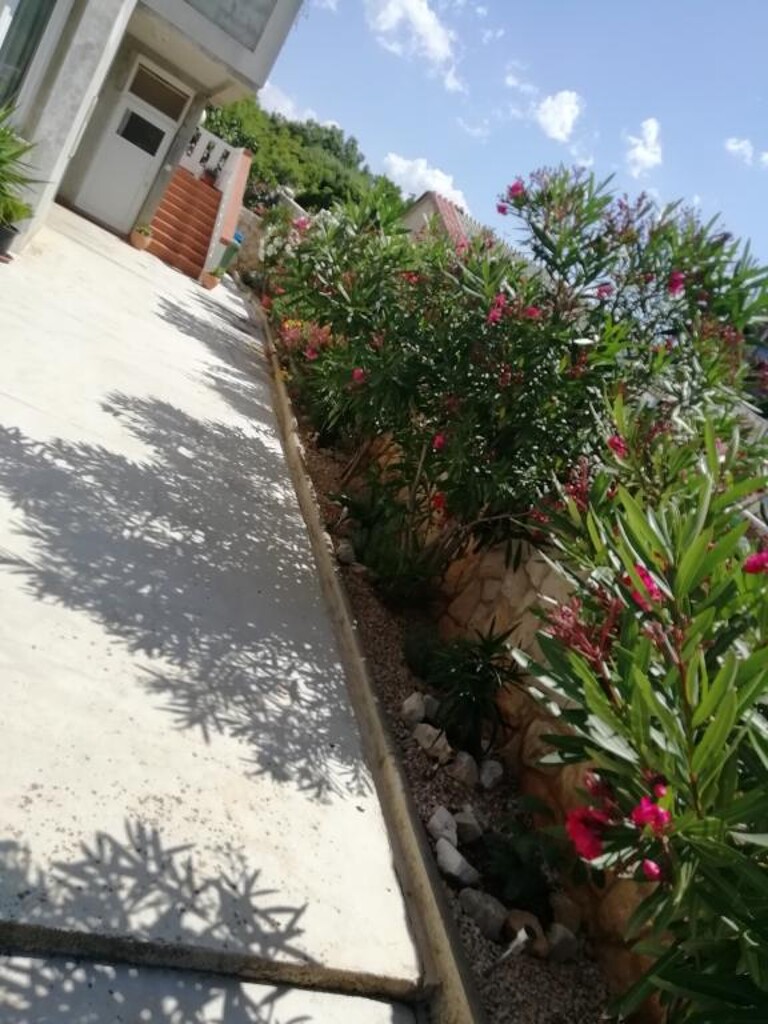 Image 3838529 - 4