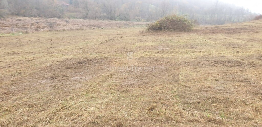 Image 13