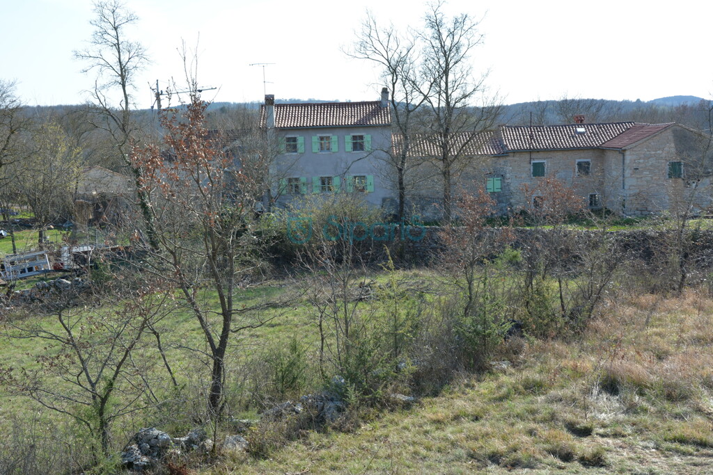 Image 13