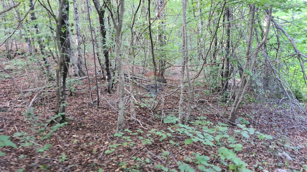 Image 5467326 - 2