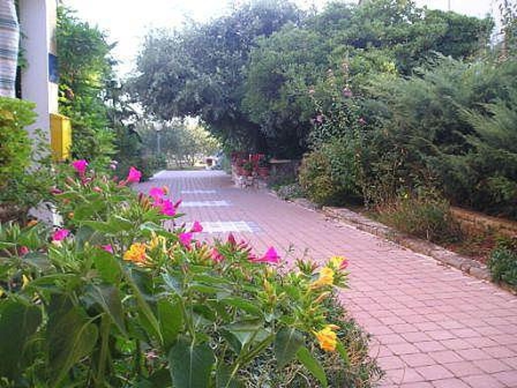 Image 3810665 - 4