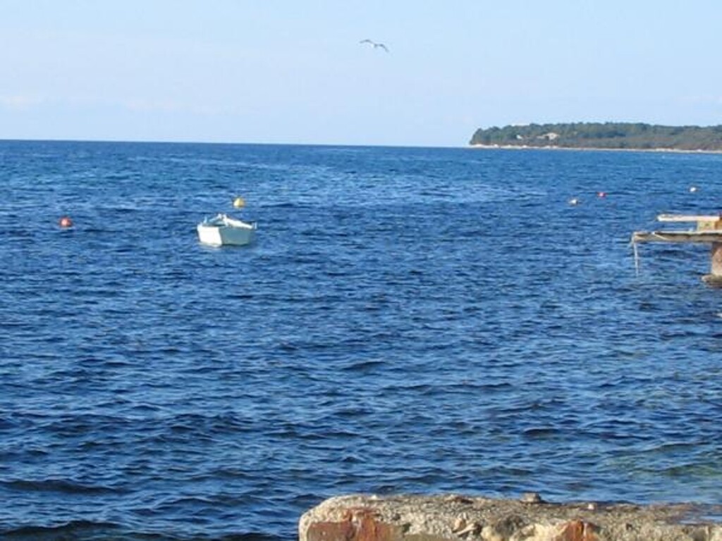 Image 3812896 - 6
