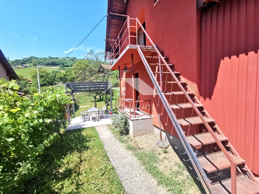 Image 13