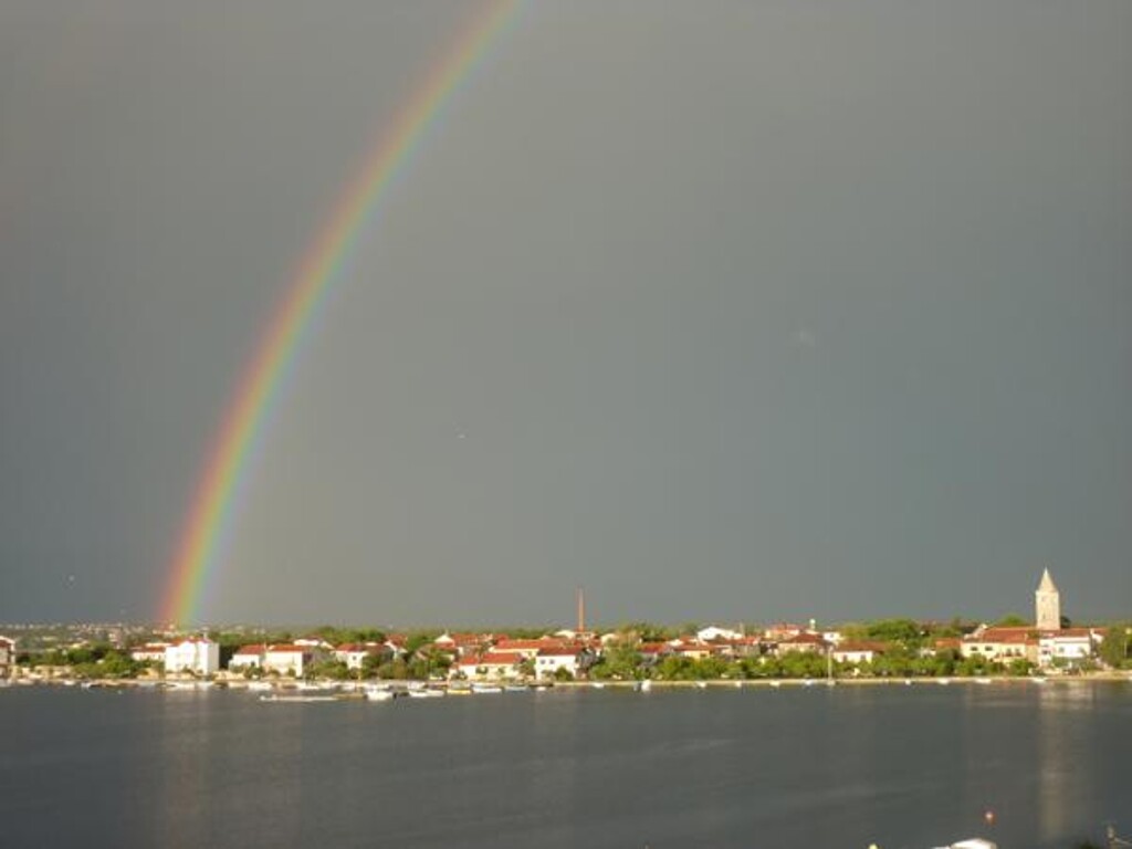 Image 13