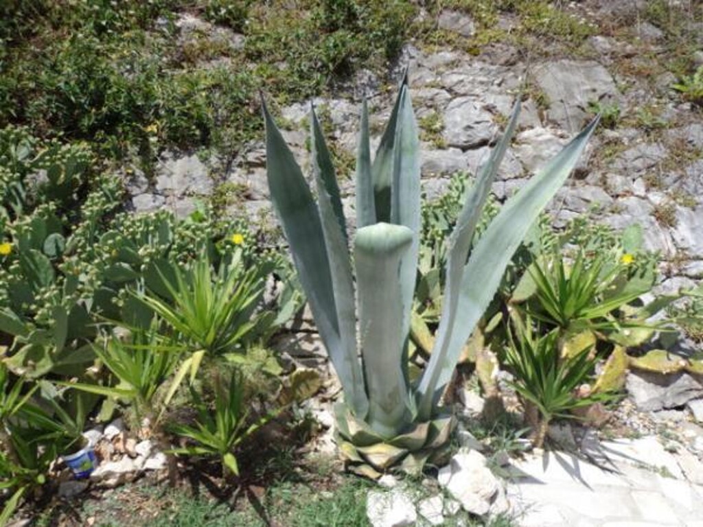 Image 3821696 - 13
