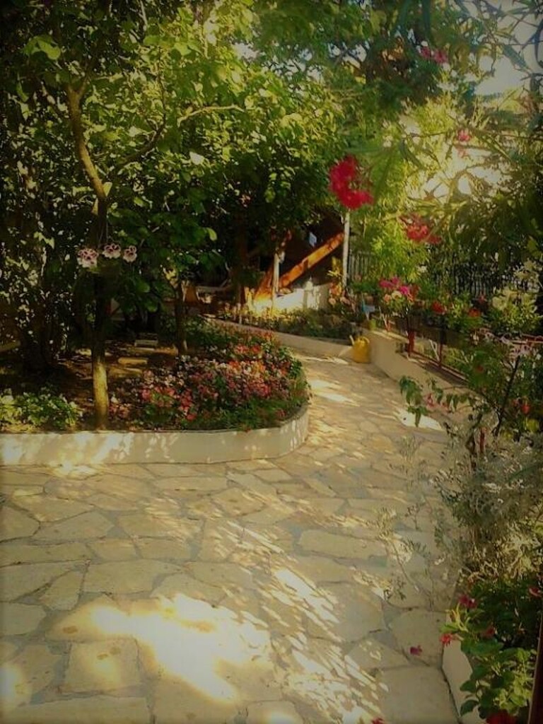 Image 8