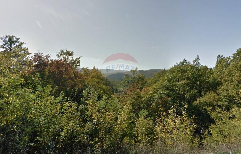 Image 5410713 - 1