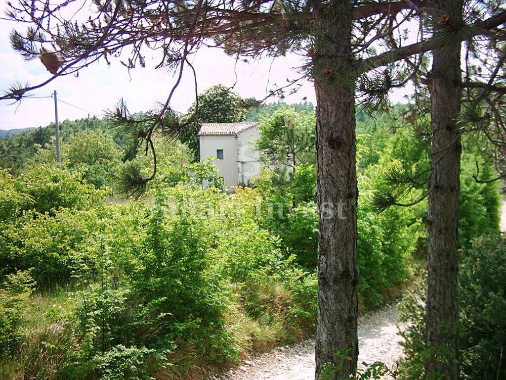 Image 10