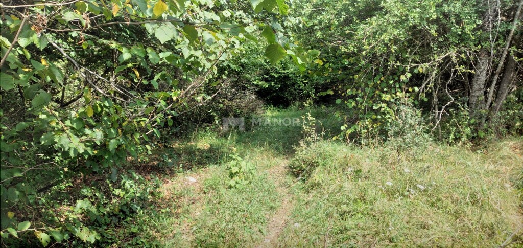 Image 21