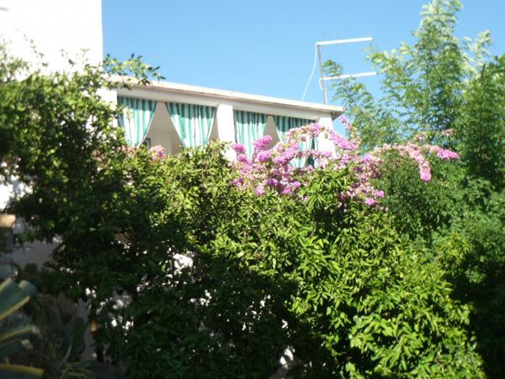 Image 3813512 - 3
