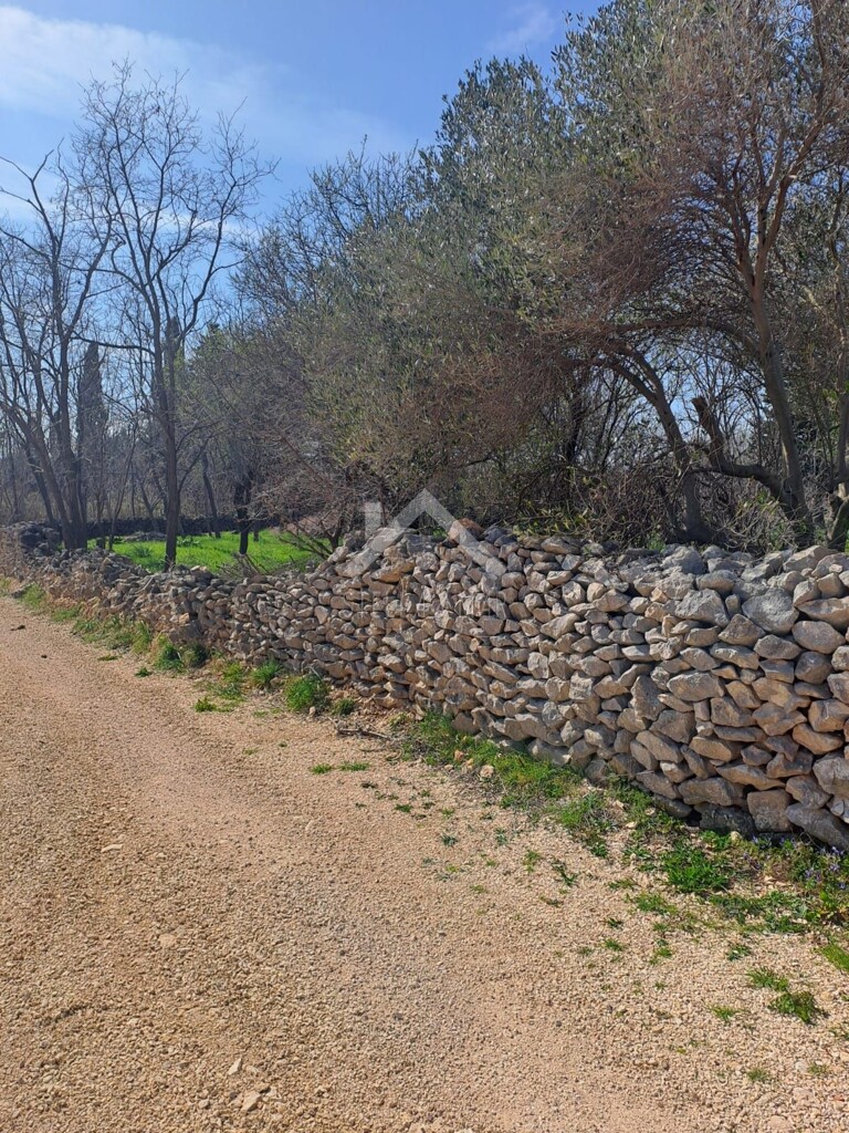 Image 5278193 - 4