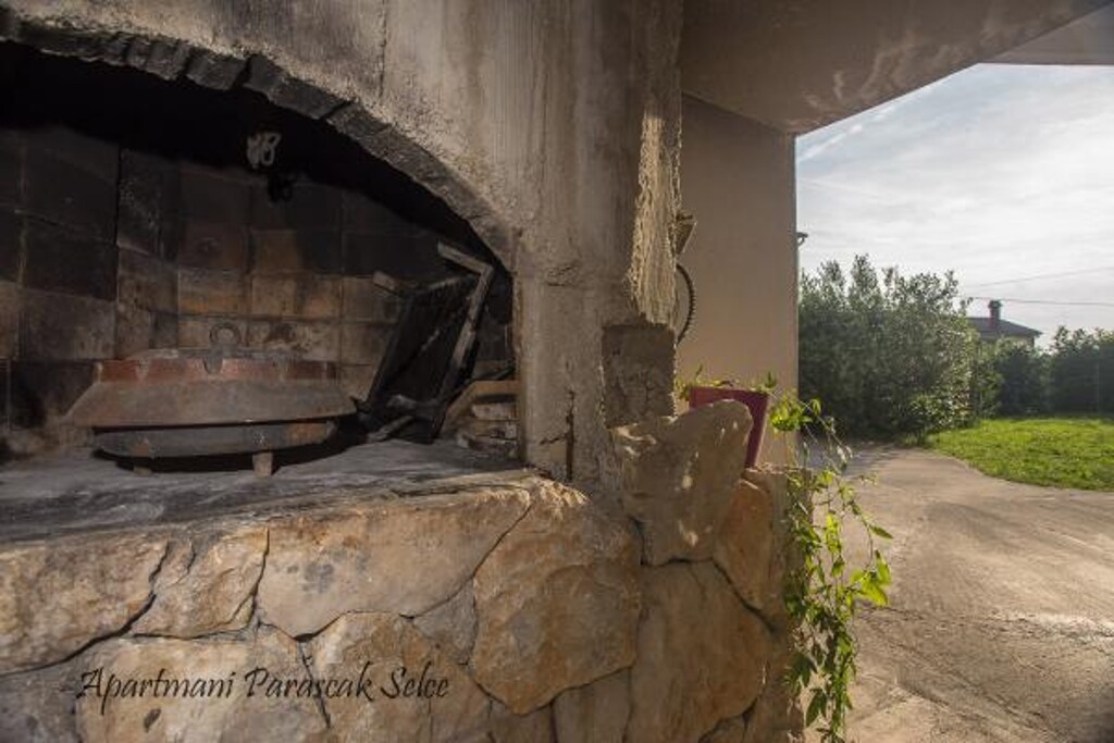 Image 3812183 - 15