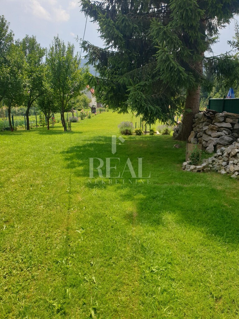 Image 12