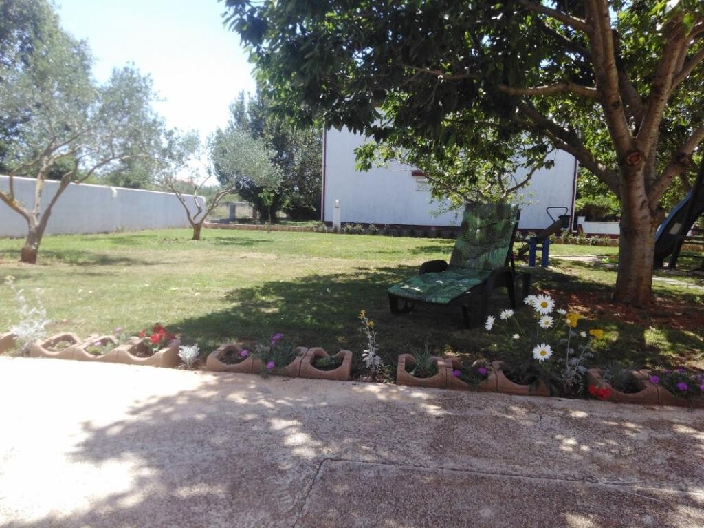 Image 15
