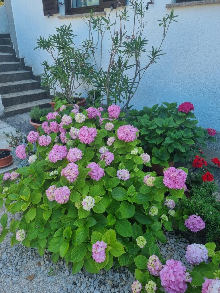 Image 3813188 - 6