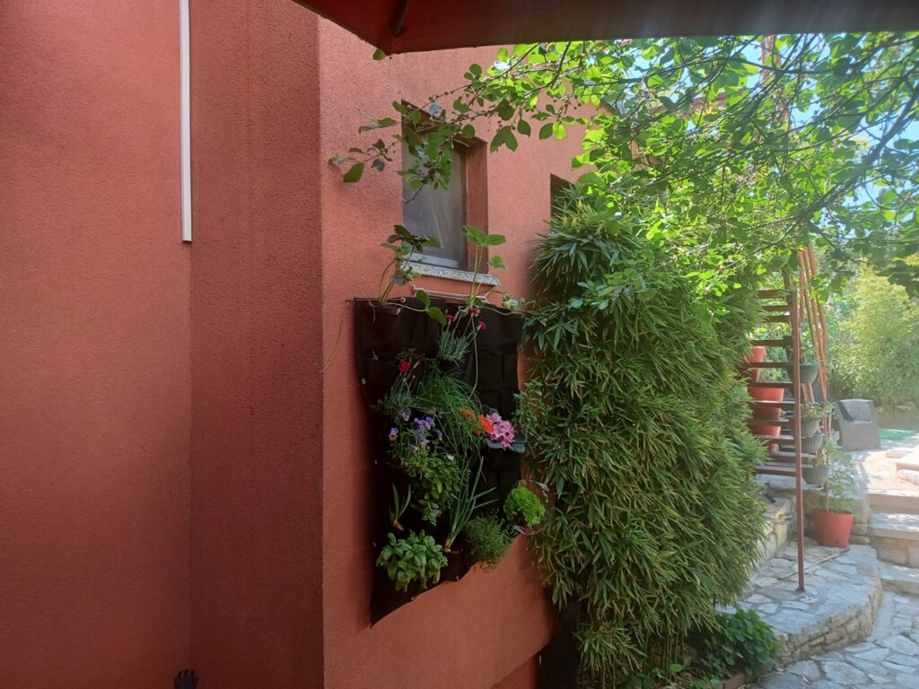 Image 21