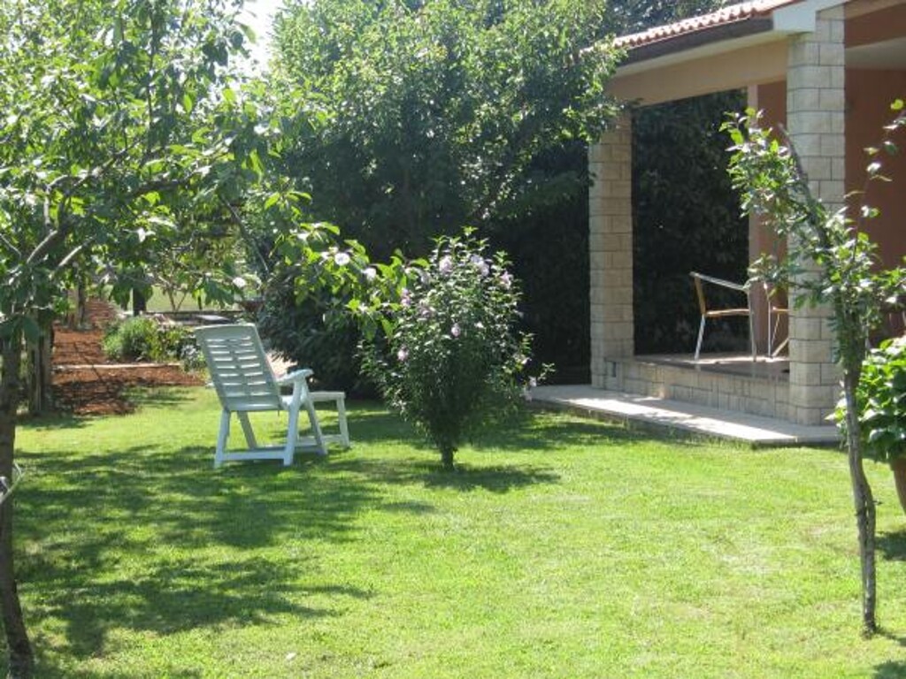 Image 3812149 - 6