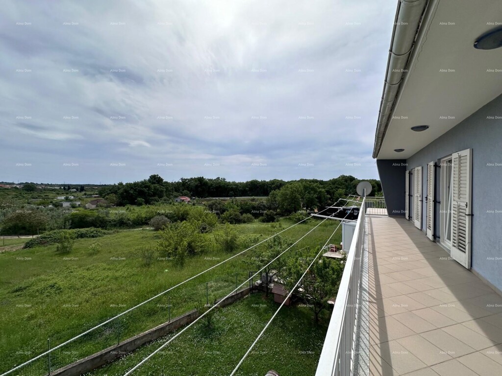 Image 15