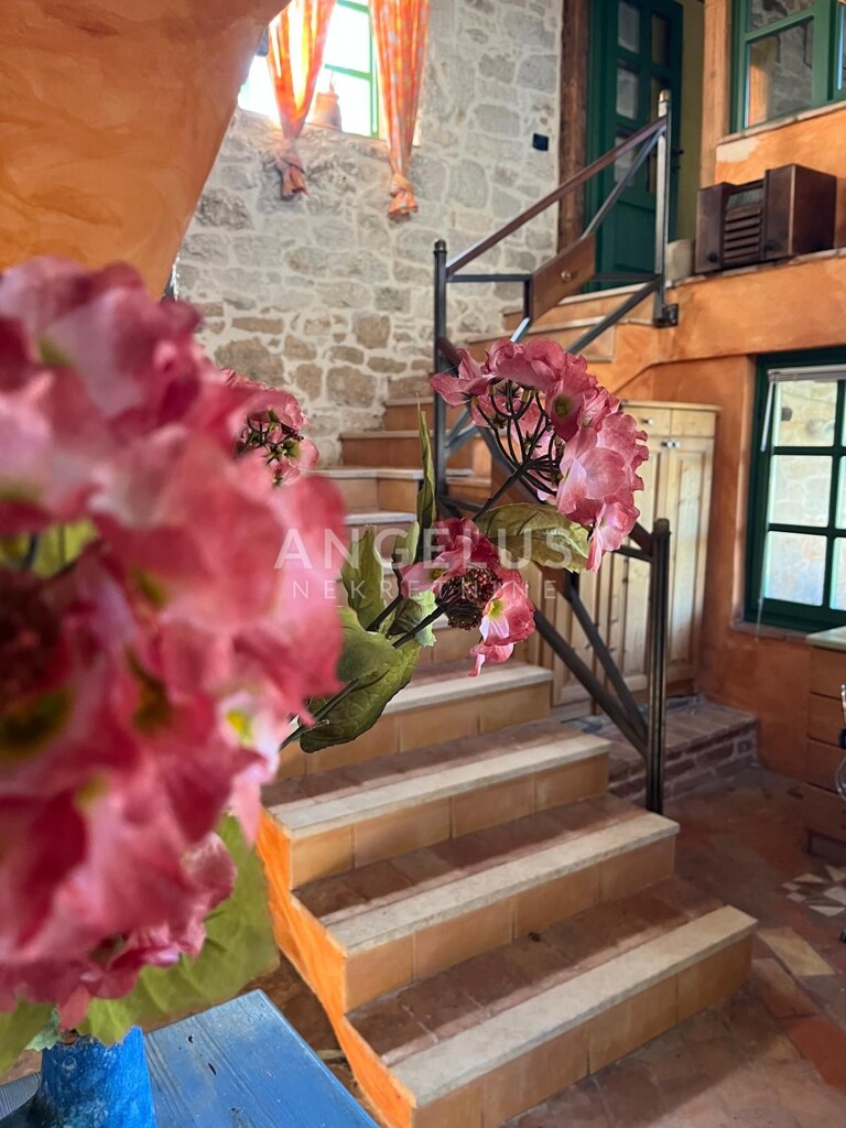 Image 11