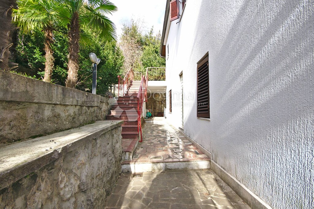 Image 23