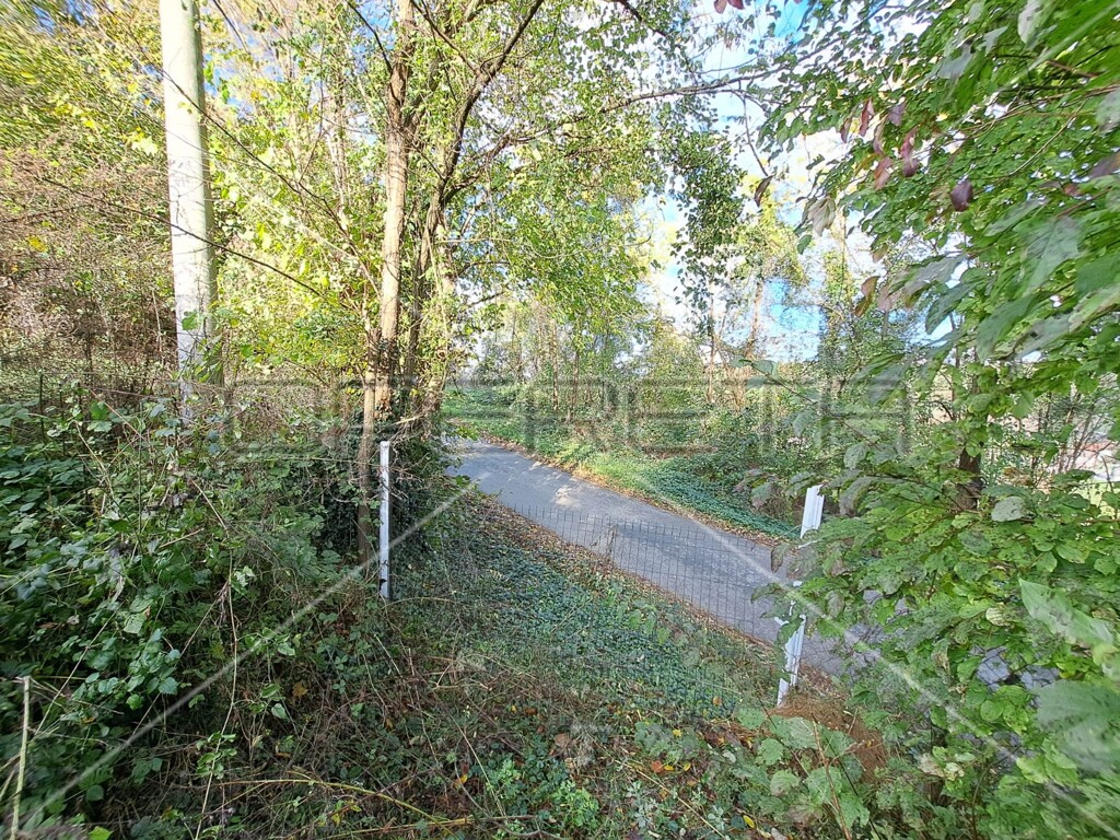 Image 9