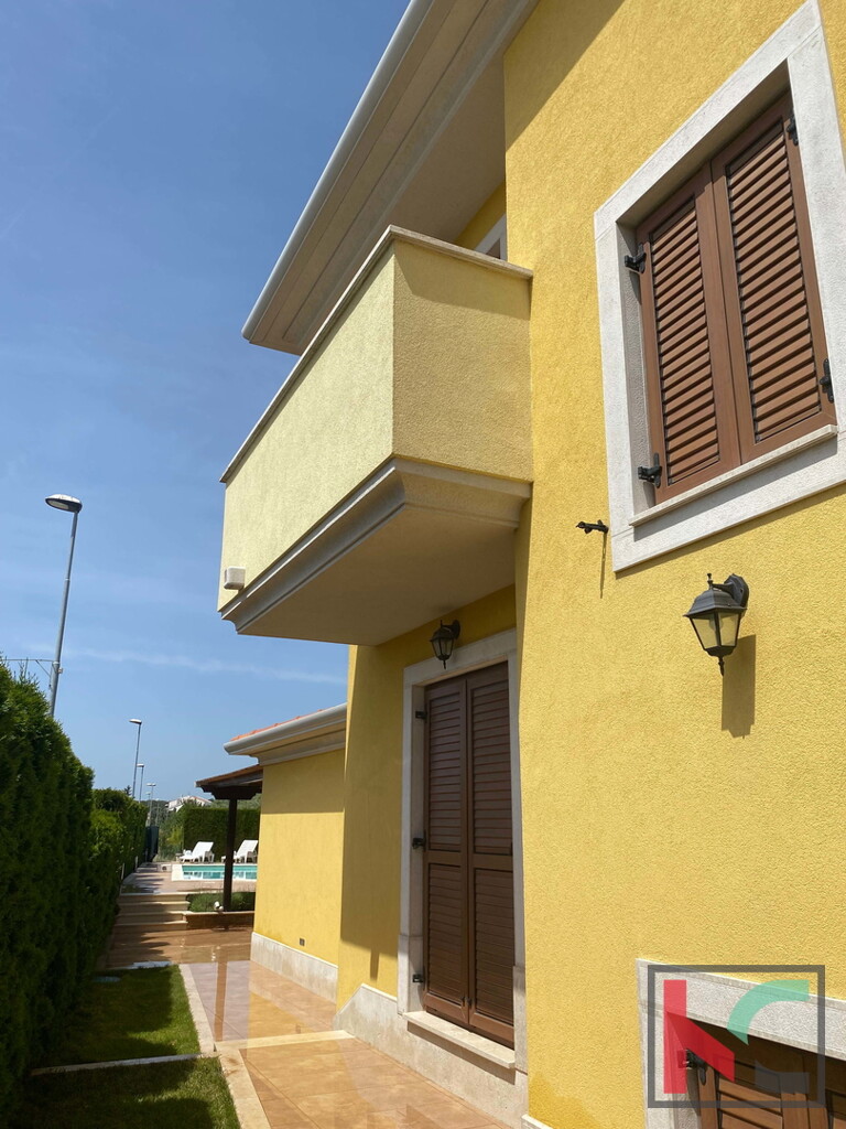 Image 15