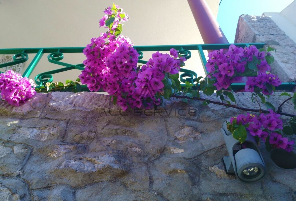 Image 14
