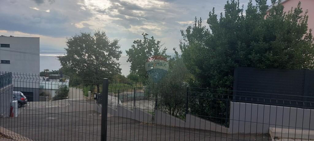 Image 13