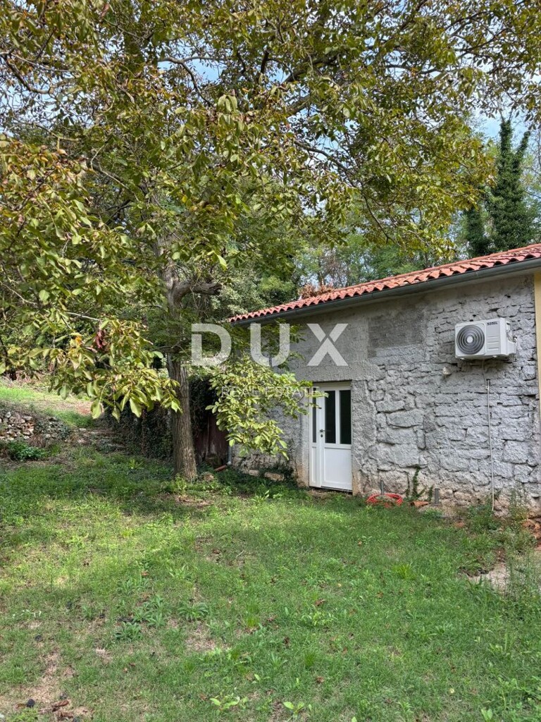 Image 21