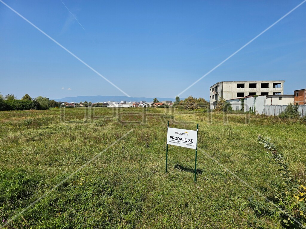 Image 6