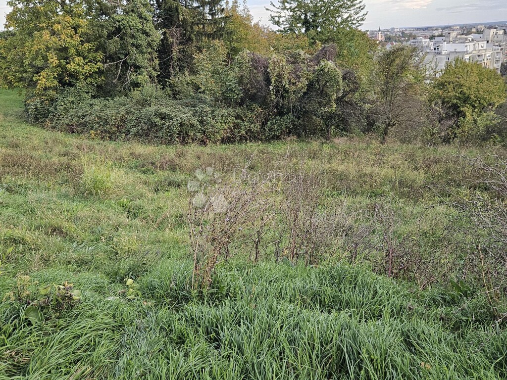 Image 14