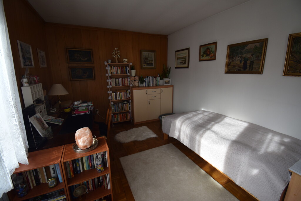 Image 8