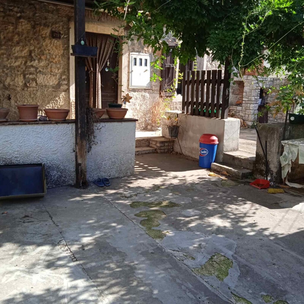 Image 21