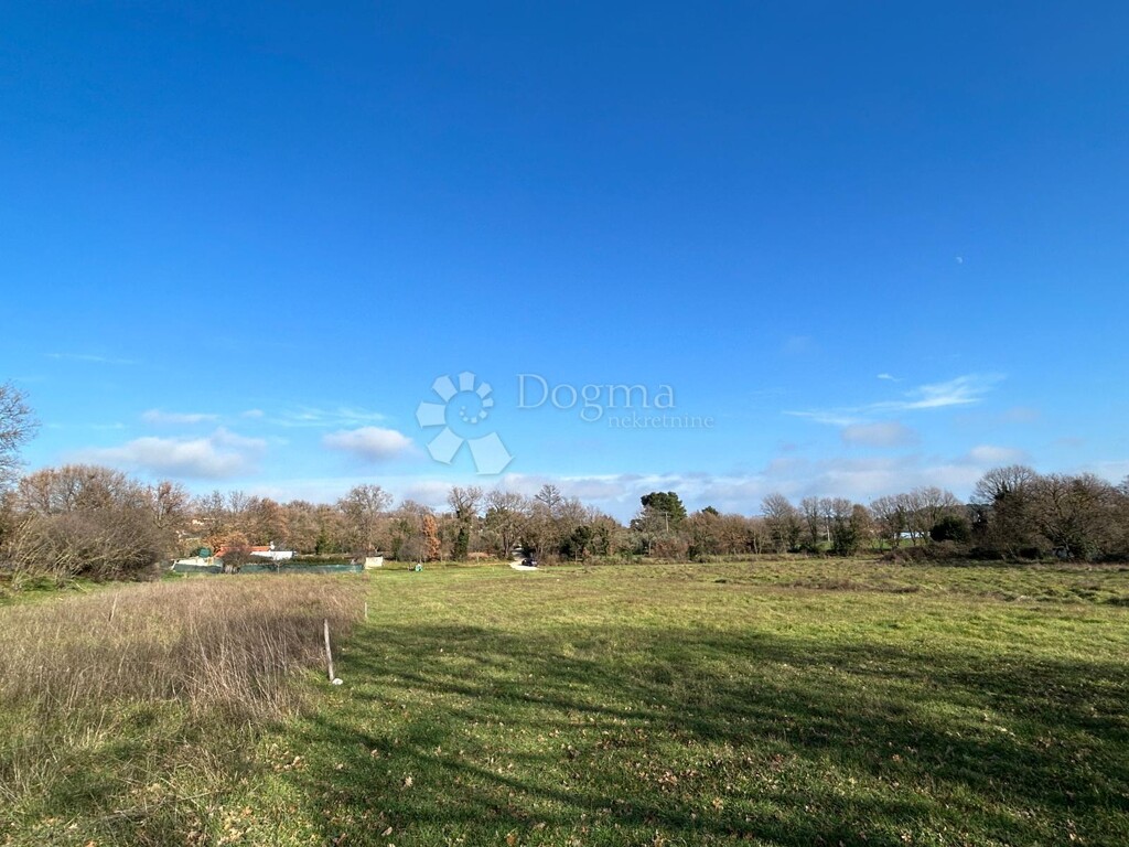 Image 15