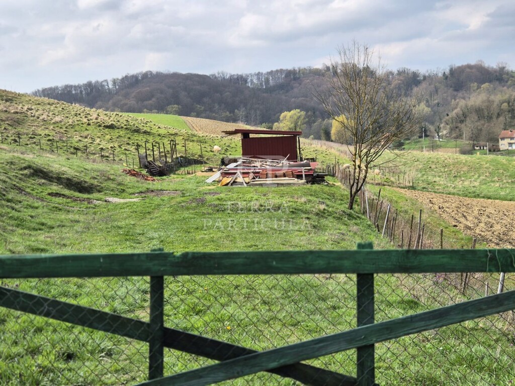 Image 18