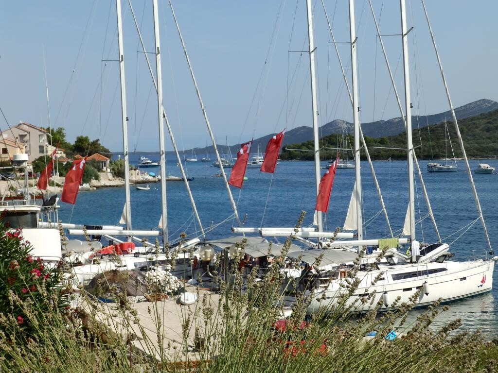 Image 8