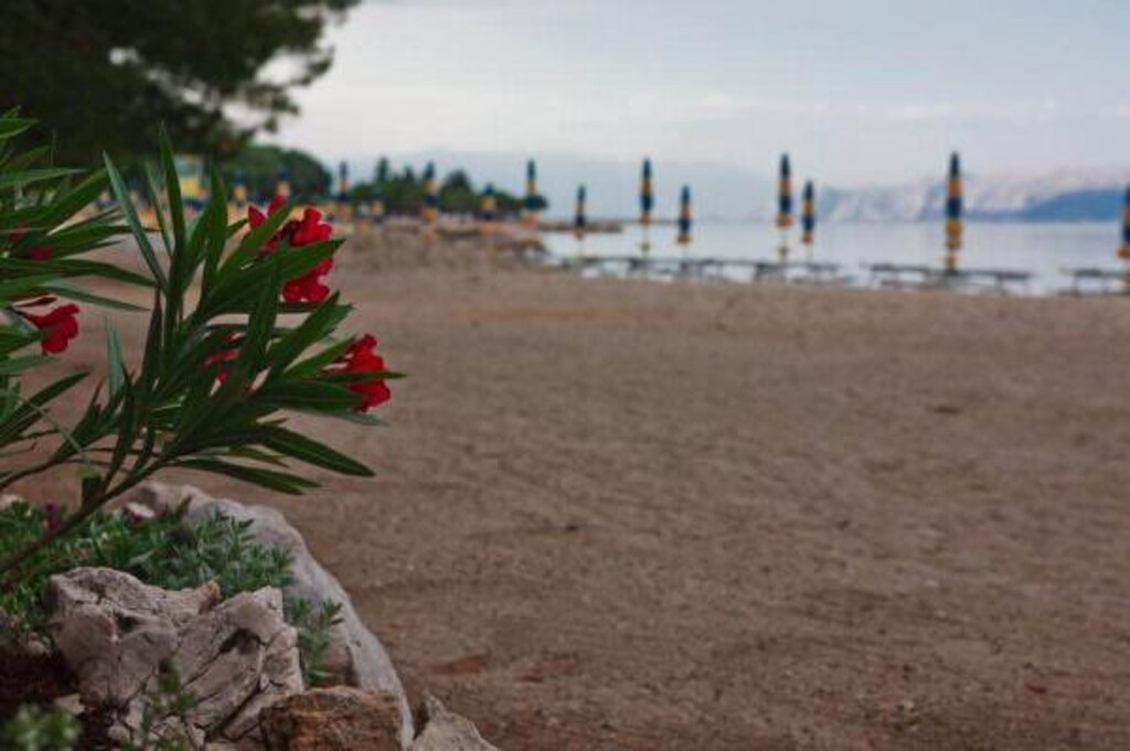 Image 3812580 - 4