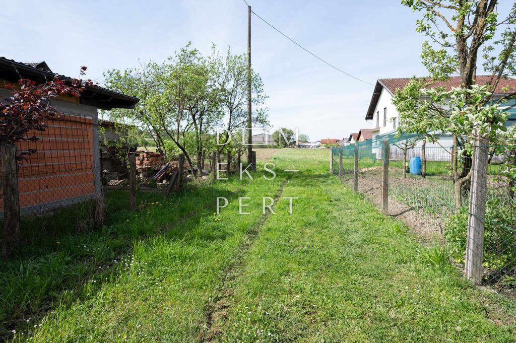 Image 20