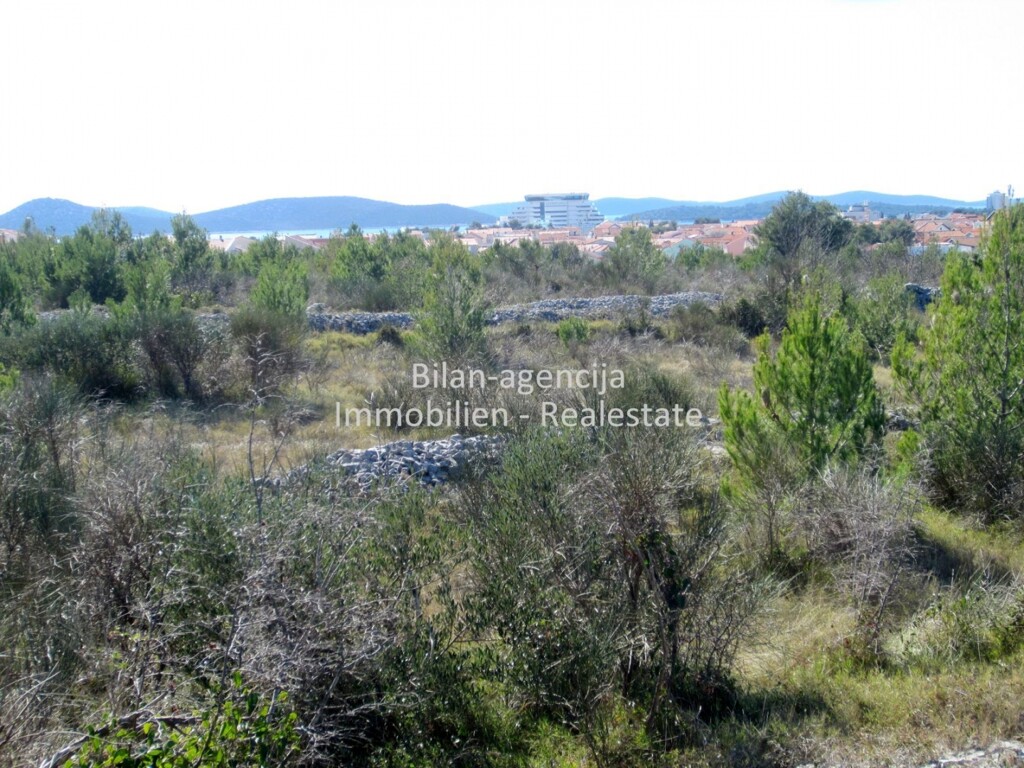 Image 5209844 - 1