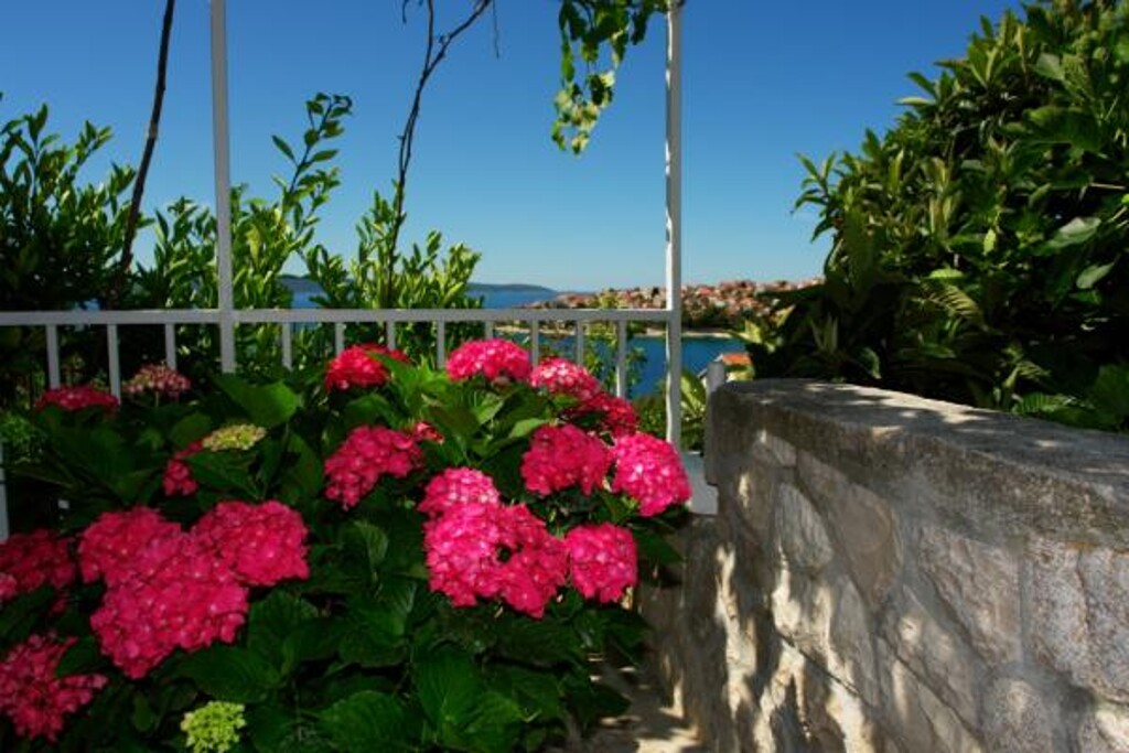 Image 3813256 - 1
