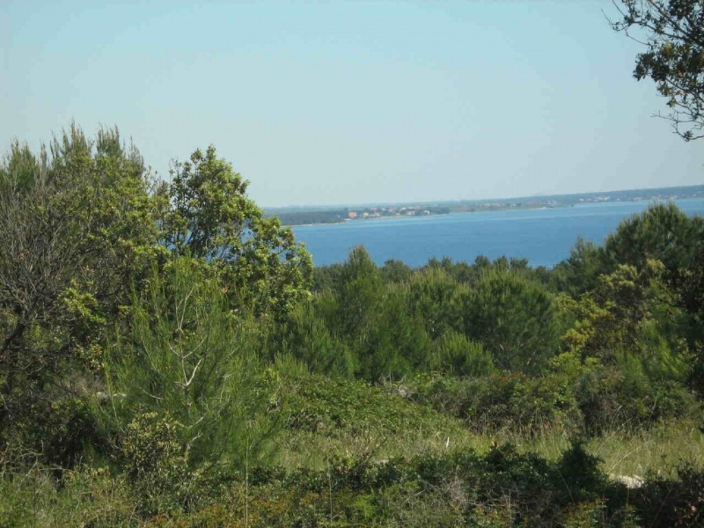 Image 4346506 - 1