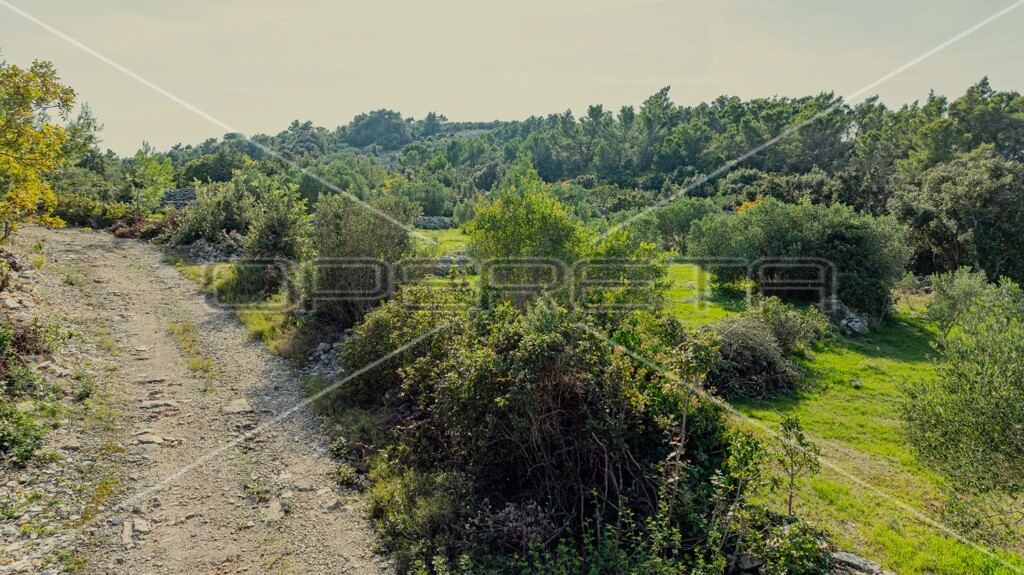 Image 16