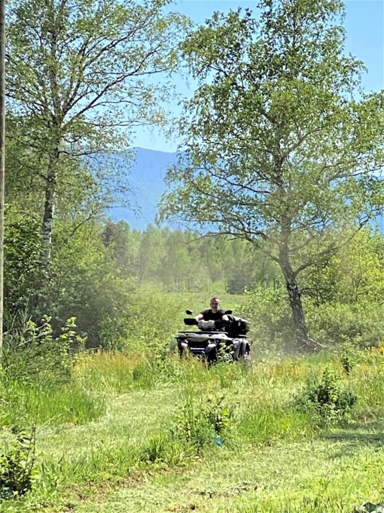 Image 12