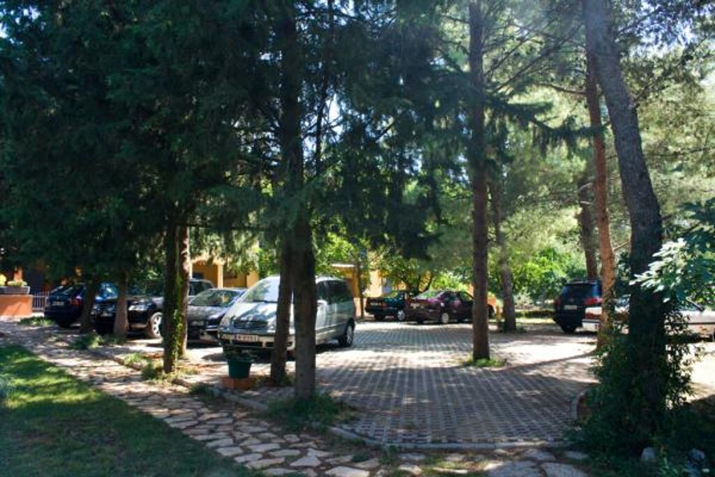 Image 3812511 - 11