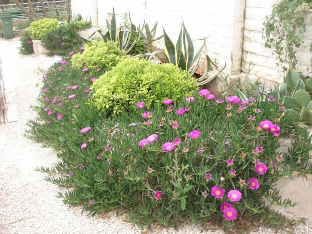 Image 3812097 - 2
