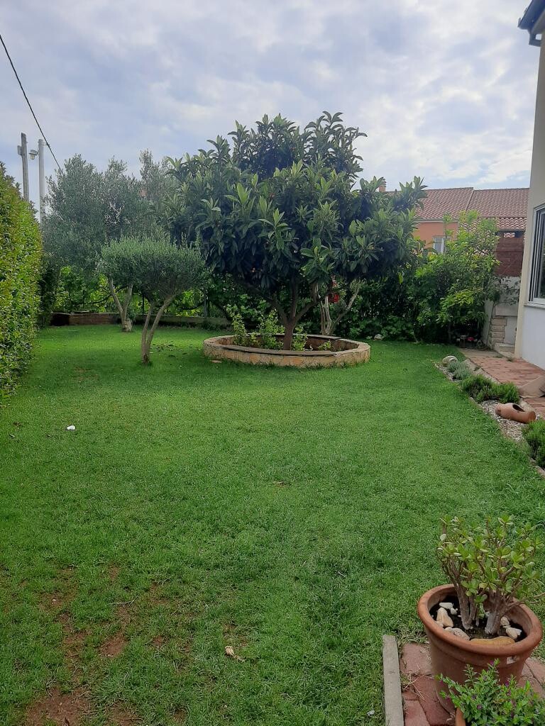 Image 4686761 - 22