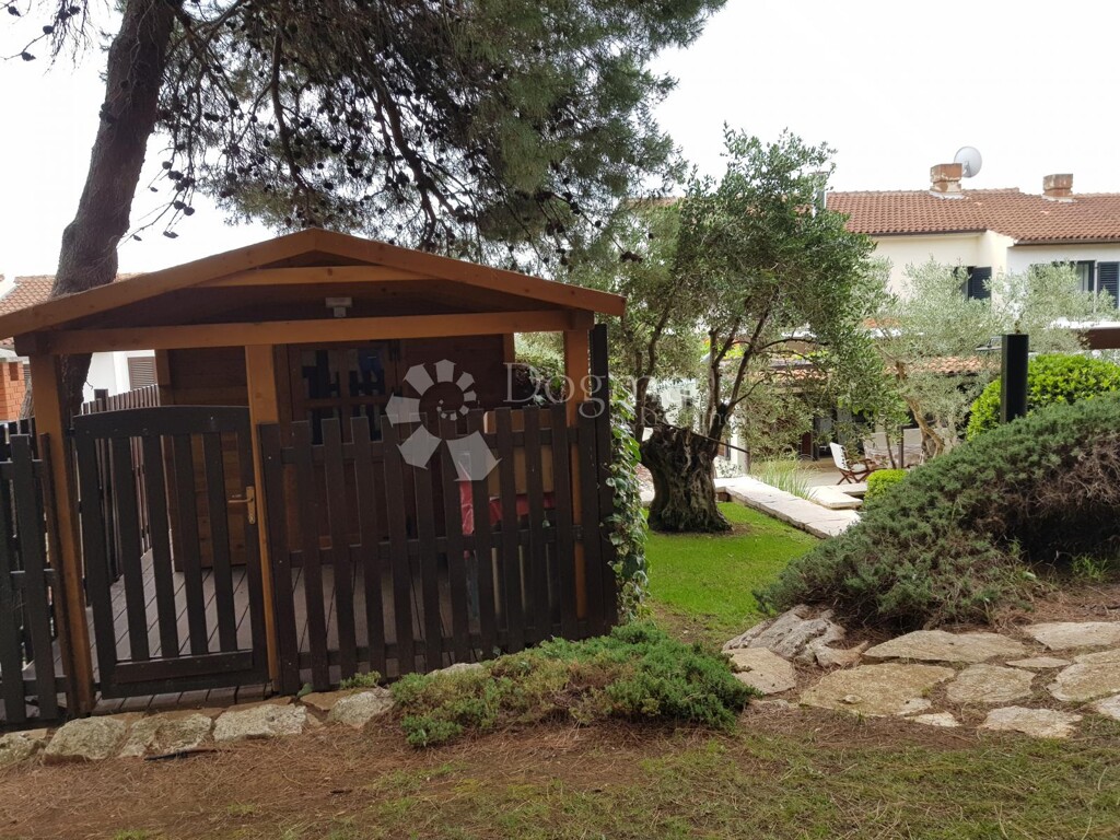 Image 20