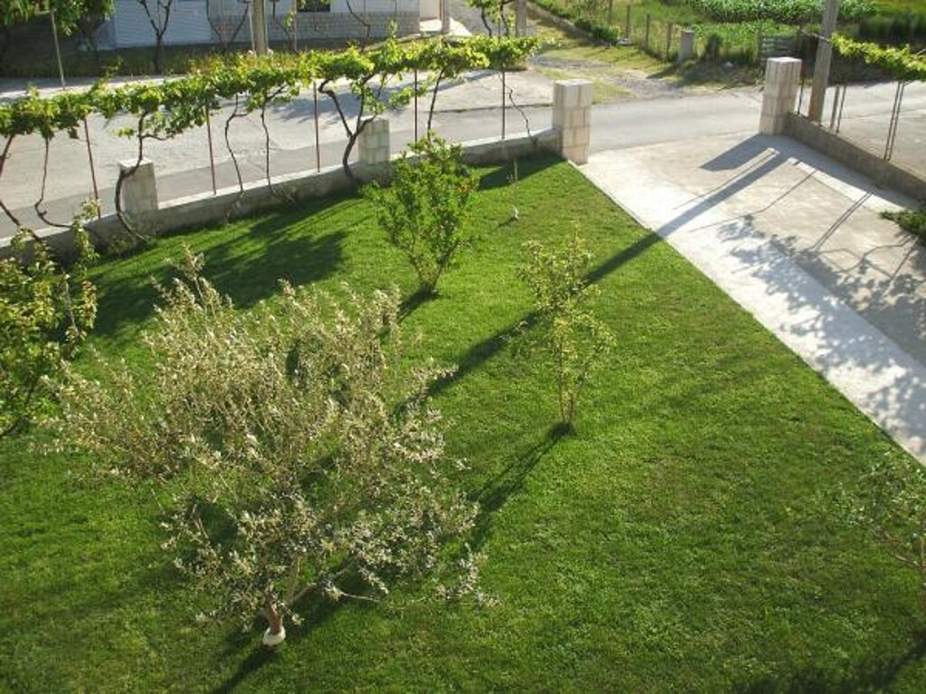 Image 3811471 - 3