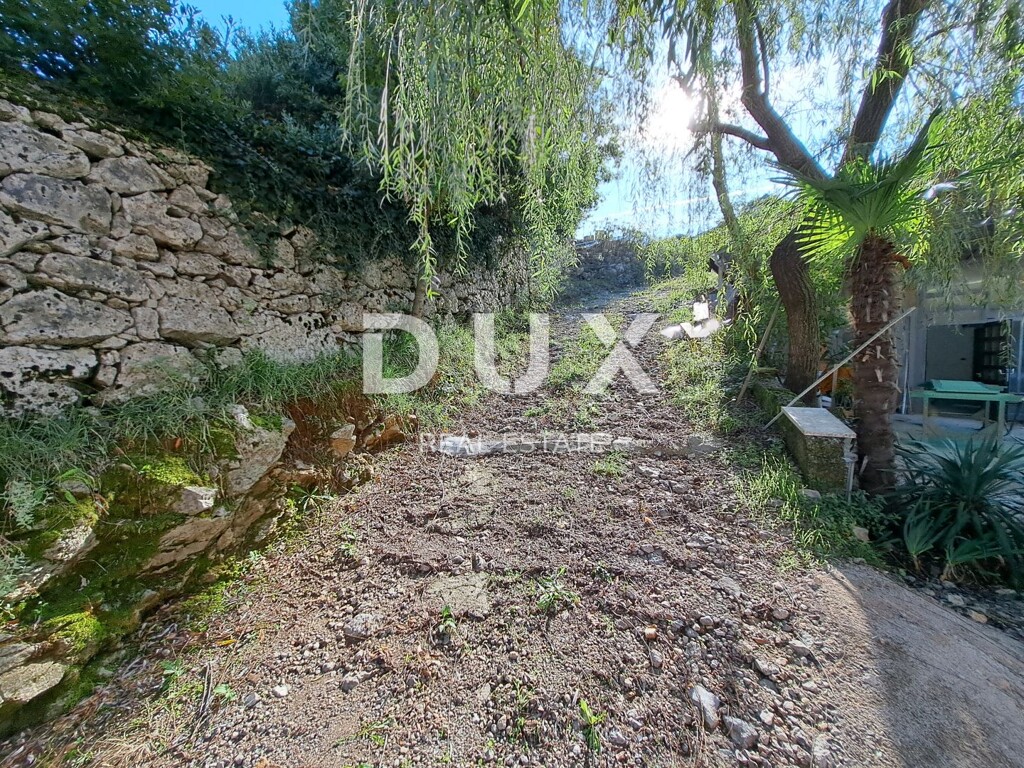 Image 16