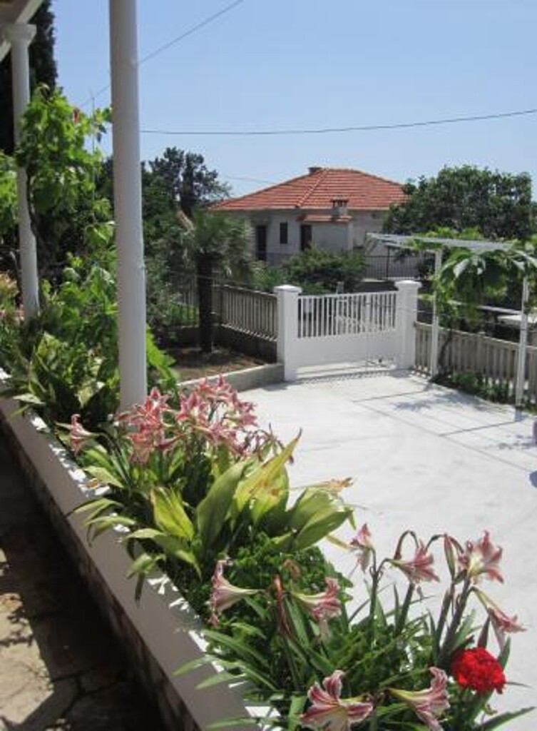 Image 3812216 - 3